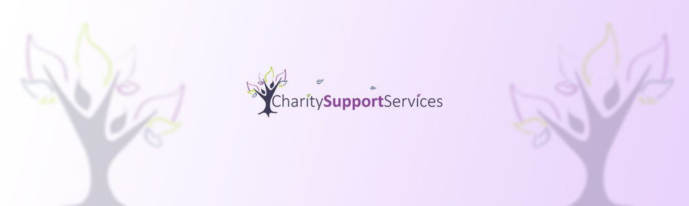 Charity Support Services main banner image